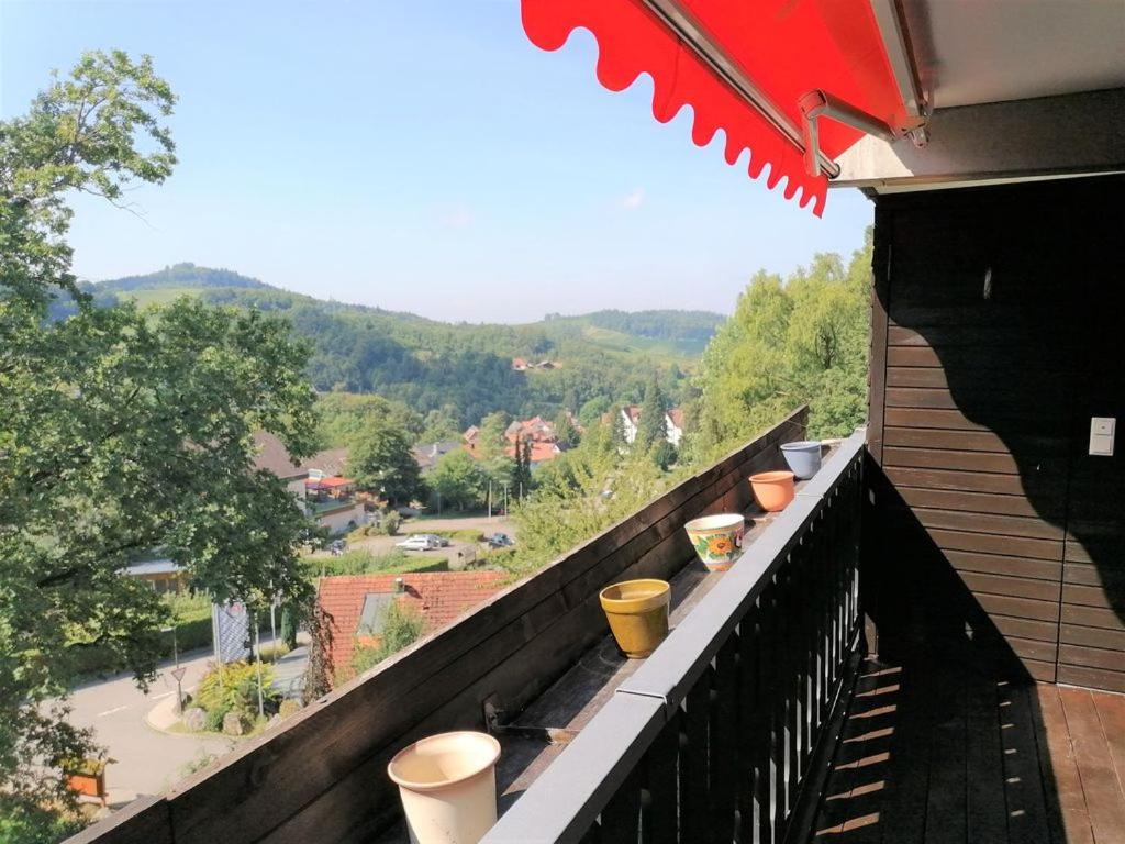 Top Ferienwohnung Mit Tiefgaragenstellplatz, Auch Fuer Laengere Aufenthalte Засбахвальден Экстерьер фото